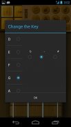 Play Ukulele screenshot 3