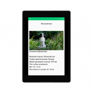 Всё про кошек и собак screenshot 5