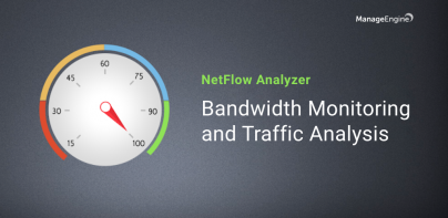 NetFlow Analyzer