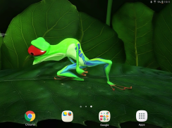 Funny Frog Live Wallpaper screenshot 6