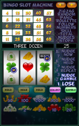 Bingo Slot Machine. screenshot 13