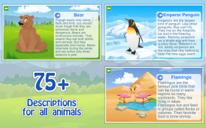 Kids Learn about Animals Lite screenshot 3
