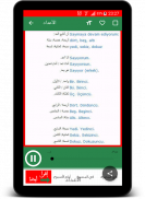 تعلم اللغة التركية صوت و صورة screenshot 9