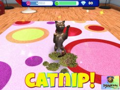 InstaKitty 3D-Virtual Cat Sim screenshot 10