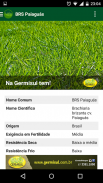 Capins - Catalog of Grass screenshot 2