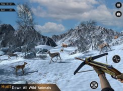 Deer Hunting Games Wild Animal screenshot 3