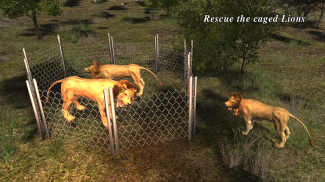 Lion Attack 3D Simulator screenshot 3