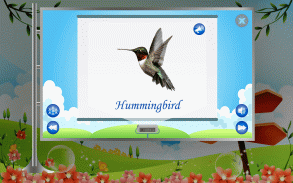 Birds Learning Kids & Toddler screenshot 4