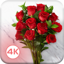 HD Rose Flowers Live Wallpaper Icon