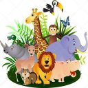 Animaux Jungle