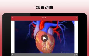 默沙东诊疗中文大众版 screenshot 8