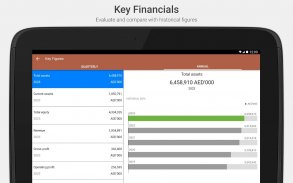 RAK Properties IR screenshot 5