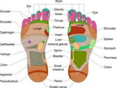 Body Reflexology Point screenshot 7