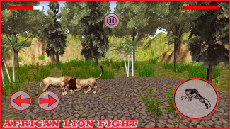 Pk African Lions Fight 2020 screenshot 3