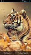 Tiger Live Wallpaper screenshot 3