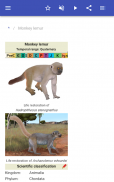 Genera of mammals screenshot 4