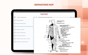 5 Minute Emergency Medicine screenshot 22