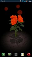 3D Rose Bouquet LWP Free screenshot 3