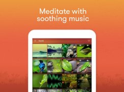 Meditation & Relaxation Music: Sonidos Relajantes screenshot 4