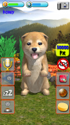 Talking Puppies - virtual pet dog to take care screenshot 9
