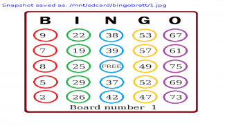 Bingo 75 screenshot 2