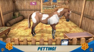 Petworld – My Animal Rescue