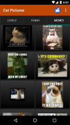 Cat wallpapers and funny pics screenshot 0