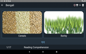 Bengali Language Tests screenshot 6