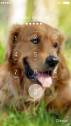 Golden Retriever Lock Screen screenshot 4