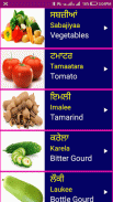 Learn Punjabi From English screenshot 1