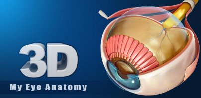 My Eye Anatomy