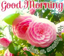 Good Morning Messages & Images with Flowers Roses screenshot 15