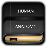 Human Anatomy Dictionary screenshot 3