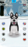 Falando Husky screenshot 9