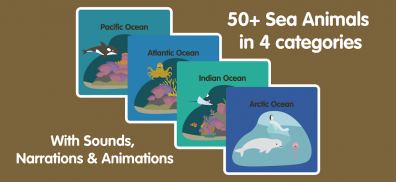 Learn Ocean Animals for kids screenshot 13