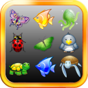 Onet Classic Icon