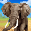 Talking Elephant icon