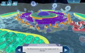 Cell World screenshot 6