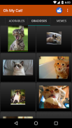 Cat wallpapers and funny pics screenshot 4