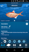 iDfish screenshot 1