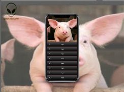 Pig How to Generate Many children screenshot 2