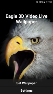 Elang 3d Video Wallpaper Hidup 2 0 Unduh Apk Untuk Android