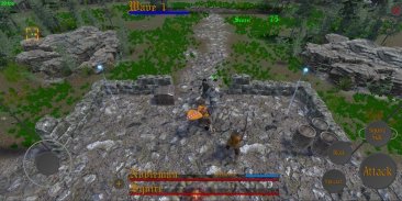 Nobleman's Brawl screenshot 6