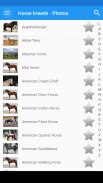 Horse breeds - Photos screenshot 11