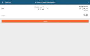 GE Credit Union Mobile Banking screenshot 4