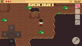 Survival RPG 1: جزيرة الكنز screenshot 12