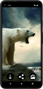 Wallpaper Beruang Kutub screenshot 1