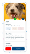 Pets Adoption - Adopt a Pet screenshot 4