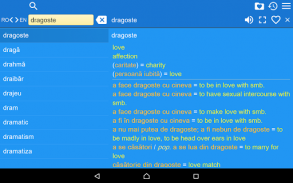 English Romanian Dictionary screenshot 0