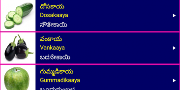 Learn Telugu From Kannada screenshot 4